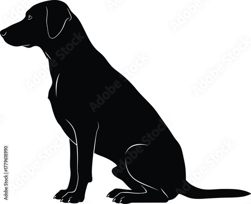 A sleek black labrador retriever sits patiently, its elegant silhouette captured in a minimalist vector illustration, isolated on white background