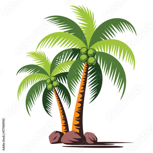 Isolated palm tree with coconuts vector illustration perfect for tropical vacation summer beach or nature themed creative artwork decorative design
