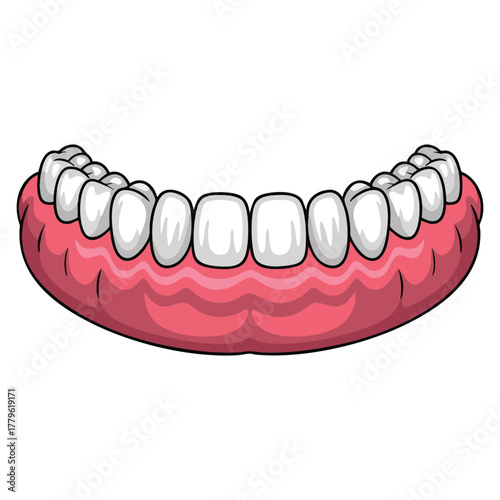 Isolated vector illustration of human lower jaw gum with crooked teeth on white background suitable for dental teaching oral health care and medical design