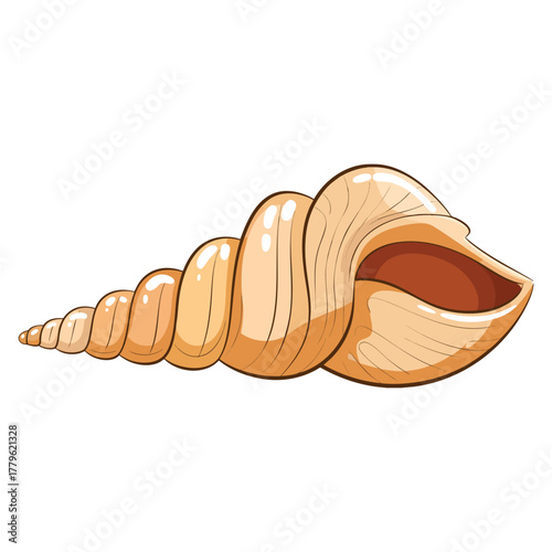 White seashell illustration isolated on white background vector style perfect for marine beach decor ocean themed educational or decorative artwork