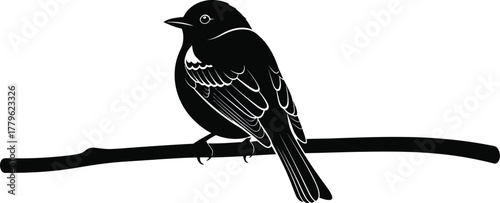 Silhouette of a bird perched on a branch, evoking nature, wildlife, and serenity isolated on white background