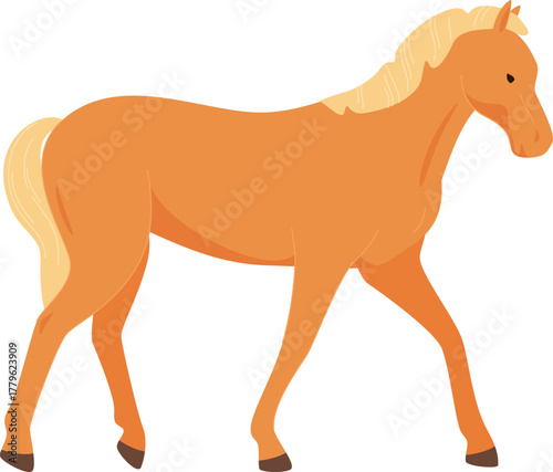 domesticated horses animals work walks competitions horse racing vector illustration