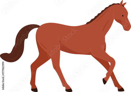 domesticated horses animals work walks competitions horse racing vector illustration