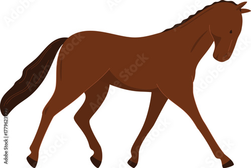 domesticated horses animals work walks competitions horse racing vector illustration