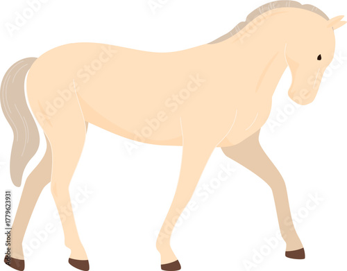 domesticated horses animals work walks competitions horse racing vector illustration