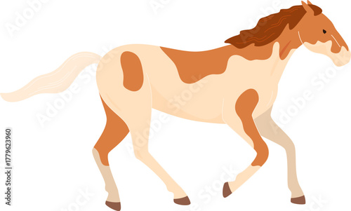 domesticated horses animals work walks competitions horse racing vector illustration