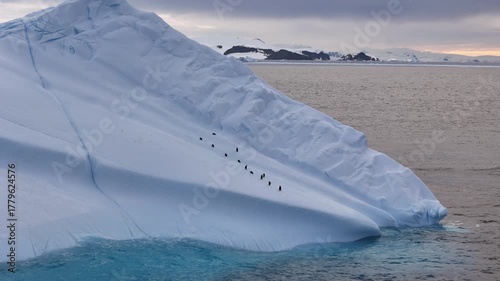 Chinstrap penguins walking in a line on a huge antarctic iceberg