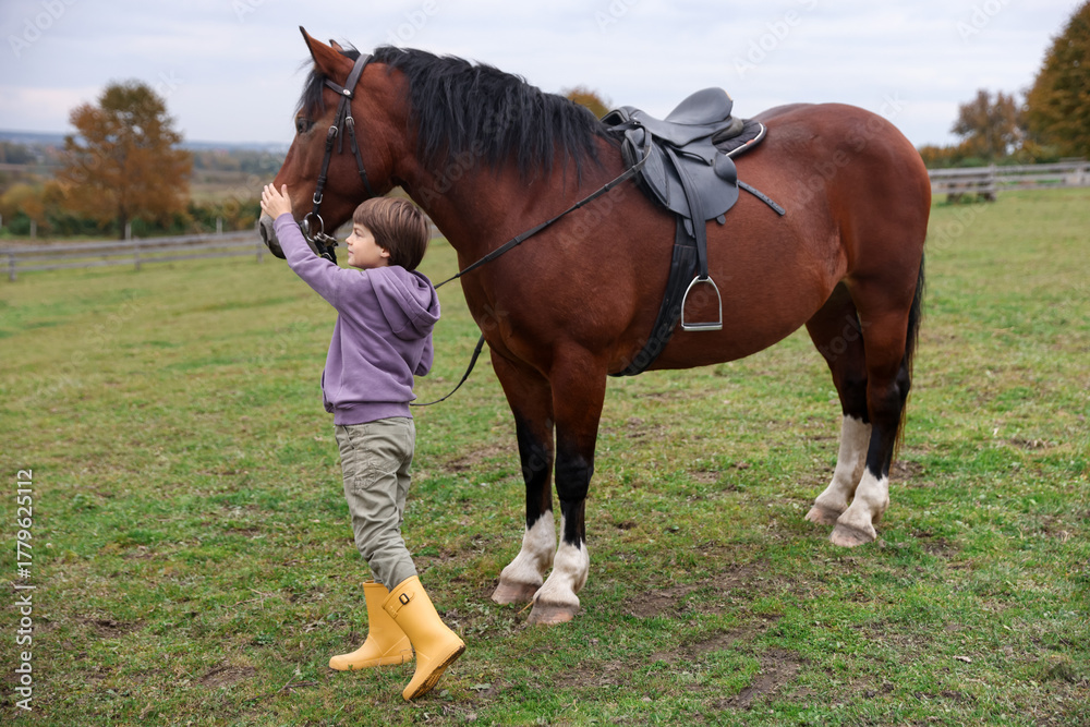 Fototapeta premium Equine assisted therapy. Little boy stroking beautiful horse in countryside. Lovely domesticated pet