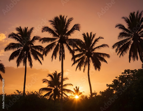 palm tree silhouette at sunset. Silhouette of palm trees at tropical sunrise or sunset