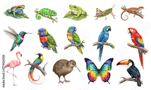Detailed Watercolor Collection of Exotic Jungle Animals and Birds