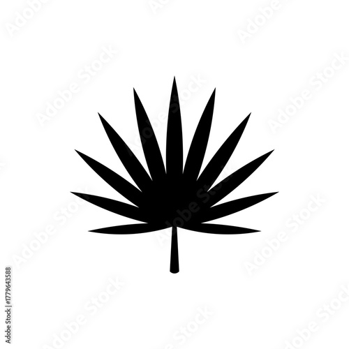Saw palmetto silhouette vector flat design on white background. Leaf saw palmetto icon.