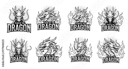 Collection of stylized dragon illustrations, featuring various poses and fiery backgrounds.