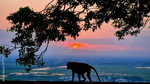 A quiet monkey silhouette walks along the hilltop as the sun sets over the plains of Madurai, framed by branches and a calm pastel sky