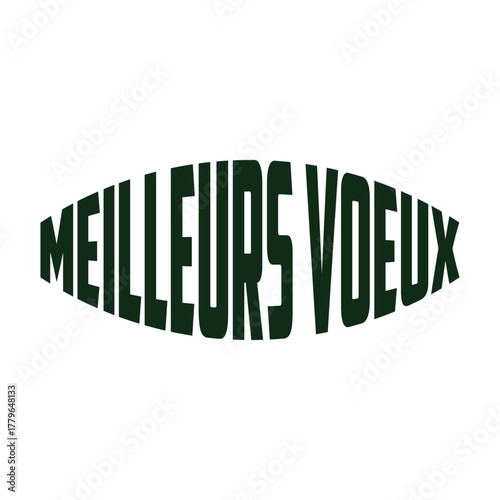 MEILLEURS VOEUX (HAPPY NEW YEAR in French) metallic gold brush calligraphy banner on transparent background