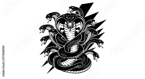 A stylized illustration of a multi-headed cobra, with striking black and white details.