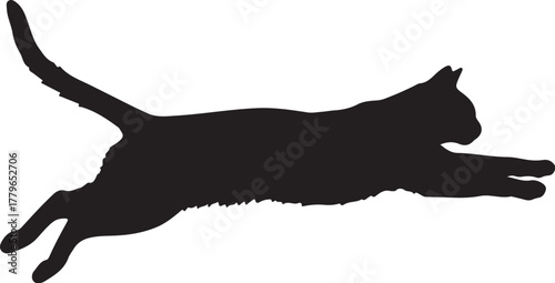 Black silhouette of a cat in mid-air leap on a white background feline animal on transparent background