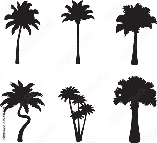 Collection of six black silhouettes of palm trees with varied shapes and sizes tropical nature on transparent background