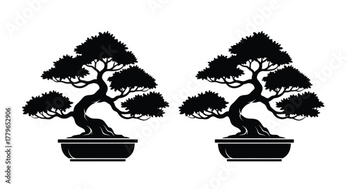Two elegant bonsai trees in black and white potted and stylized
