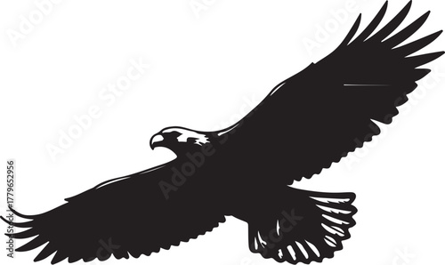 Silhouette of an eagle in flight with wings spread wide bird raptor on transparent background