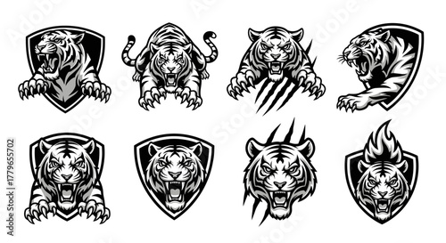 Collection of detailed black and white tiger illustrations in various dynamic poses and designs.