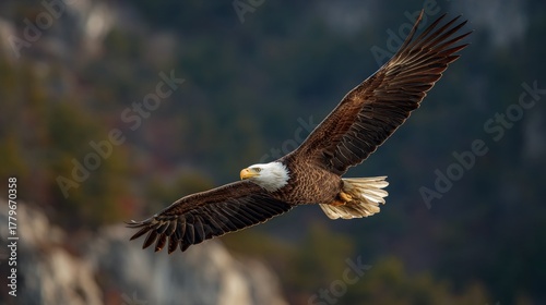 Majestic eagle soaring above the mountains.
