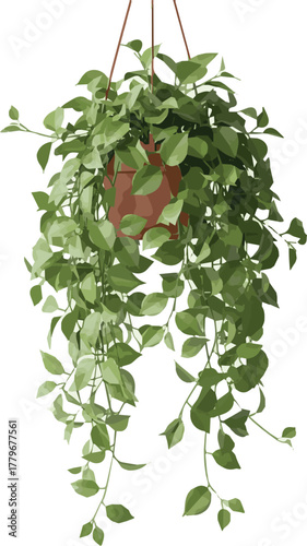 Create original Climbing creeper ivy plant small medium, Big isolated.