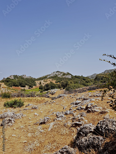 The mountain hiking trail ascends to a high peak, opening onto sunlit rocky hills dotted with oaks, and culminates at a summit where the path climbs over oak-covered rocks.