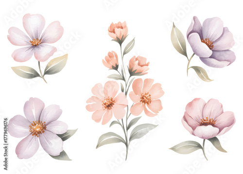 Soft peach and lilac watercolor blossoms. Lilac pastel floral watercolor composition.