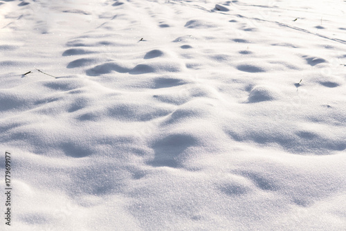 Vászonkép Snowy ground surface with soft hills and sunlight reflections in winter