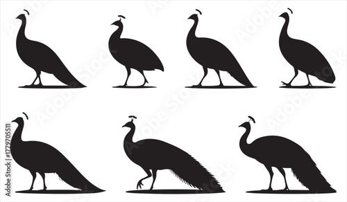 Elegant Peacock Silhouettes Set – Minimal Vector Collection of Exotic Birds in Graceful Poses