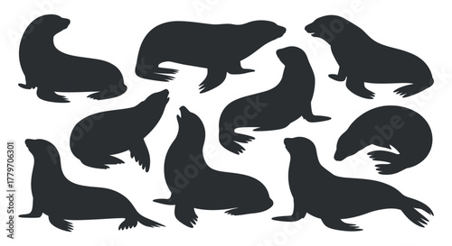 Collection of seal silhouettes in various poses vector illustration design with clean composition and isolated in white background