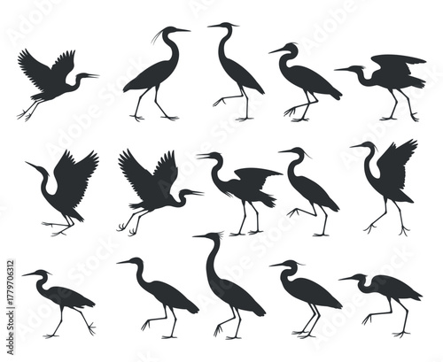 Set of heron silhouette walking, standing and flying with open wings in different poses in dark color with transparent backdrop vector