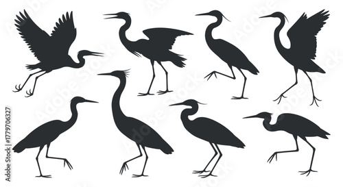 Collection of heron silhouette in walking and standing poses with open wings in dark color isolated on white background vector