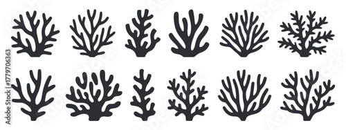 Set of decorative black silhouettes of underwater coral different shapes isolated on white background with clean composition