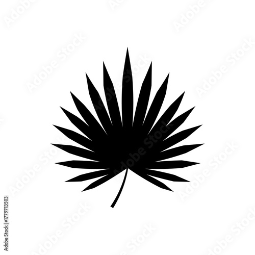 Palmetto leaf silhouette vector flat design on white background. Palmetto leaf icon.