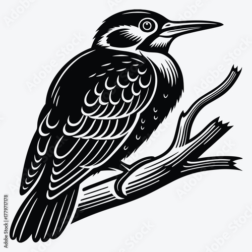Woodpecker line art White background illustration Generative Ai