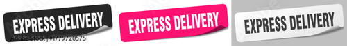 express delivery sticker. express delivery sticker set on white background