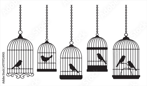 Artistic birdcage design symbolizing freedom and elegance