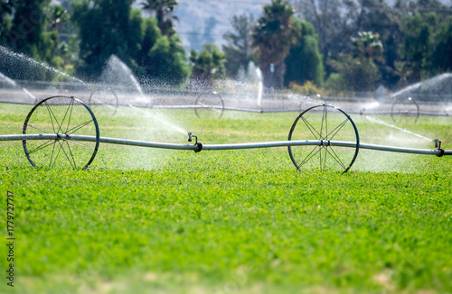 Irrigation water sprinklers in an agricultural farm near Perris, California