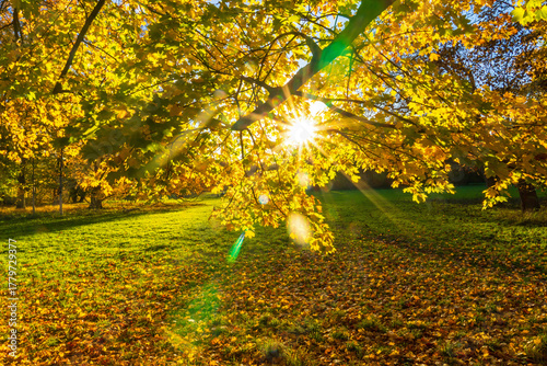 Park am Decksteiner Weiher im Herbst