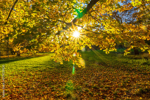 Park am Decksteiner Weiher im Herbst