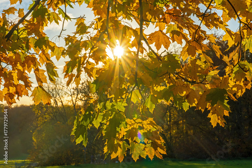 Park am Decksteiner Weiher im Herbst