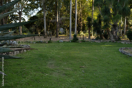 Papier peint parque botanico republica dominicana