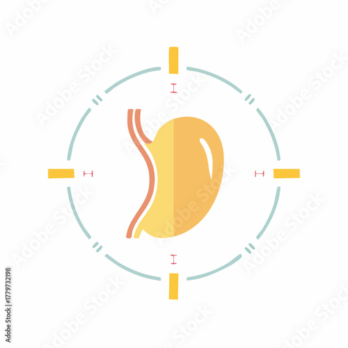 Illustration of Human Stomach Digestive Organ within Graphic Design Elements