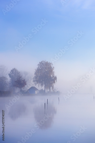 Misty Morning on the Lake with Distant Trees, Poland