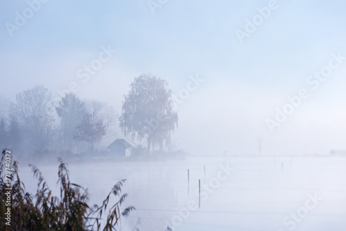 Misty Morning on the Lake with Distant Trees, Poland