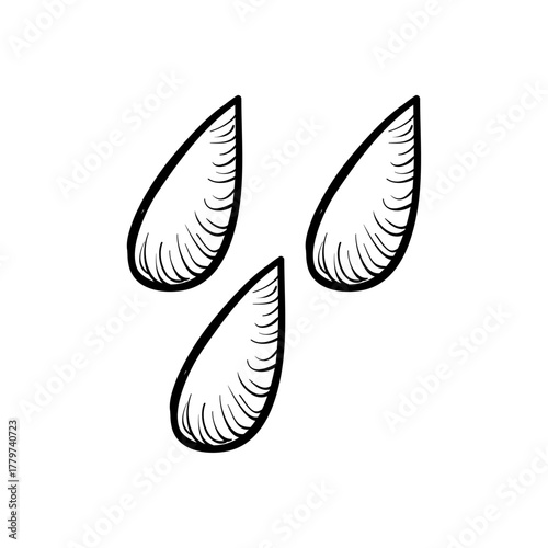 Three stylized mussel shells drawn in black ink on a white background