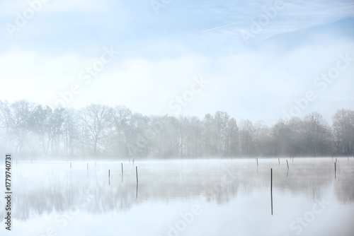 Misty Morning on the Lake with Distant Trees, Poland