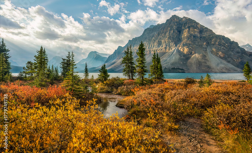 Autumn fall foliage colors in the morning at Bow Lake on the Icefields Parkway - Banff National Park - Canada