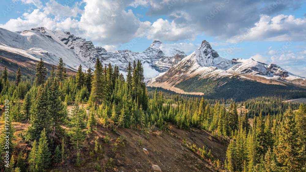 Obraz premium Parker Ridge Trail on the Icefields Parkway in autumn - Banff National Park - Canada